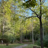 Review photo of Middle Creek Campground by Shawn , October 3, 2025