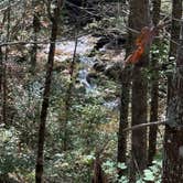 Review photo of Middle Creek Campground by Shawn , October 3, 2025