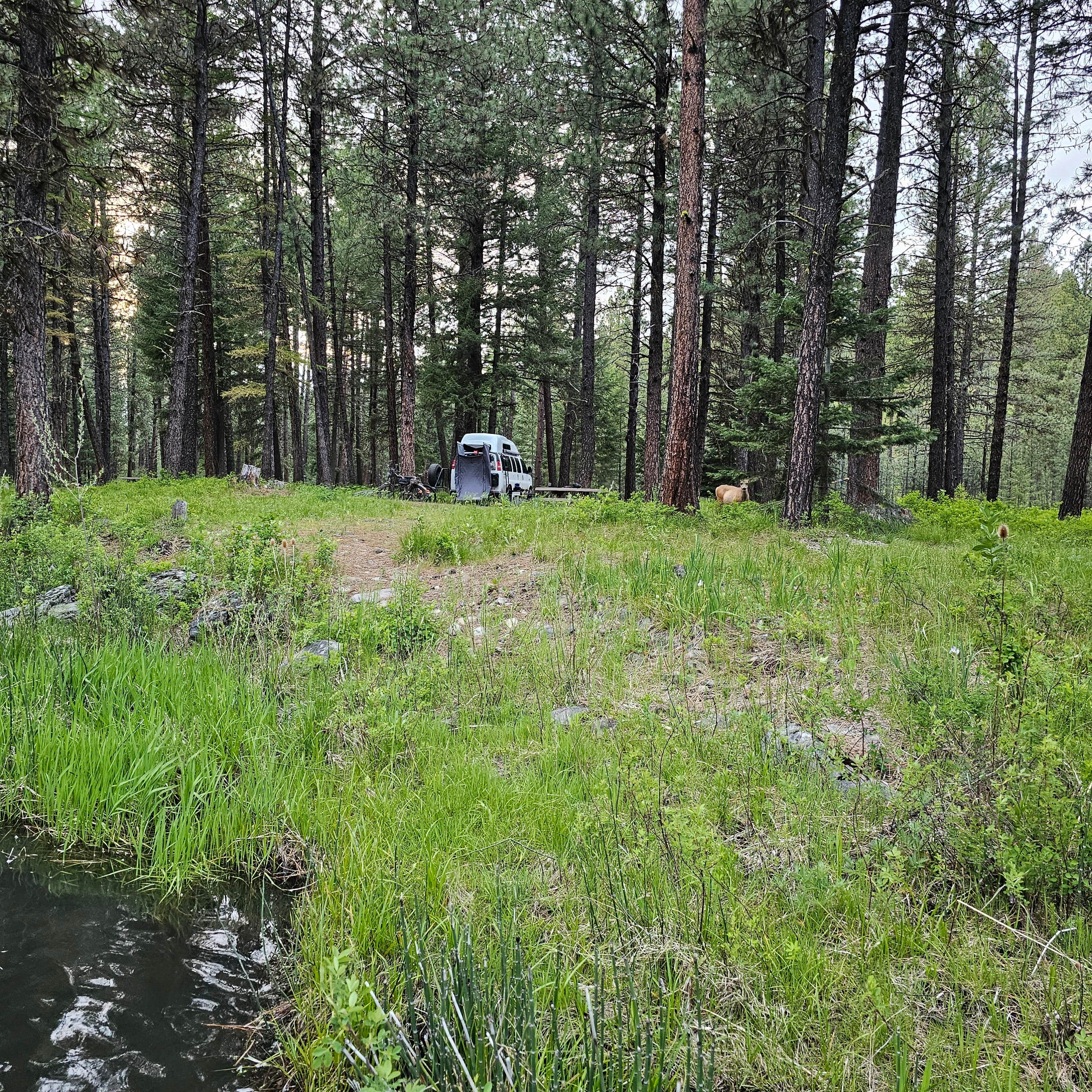 Camper-submitted photo at Middle Fork Campground near Unity, OR