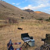 Review photo of Middle Fork Conservation Area by Janelle K., September 11, 2025