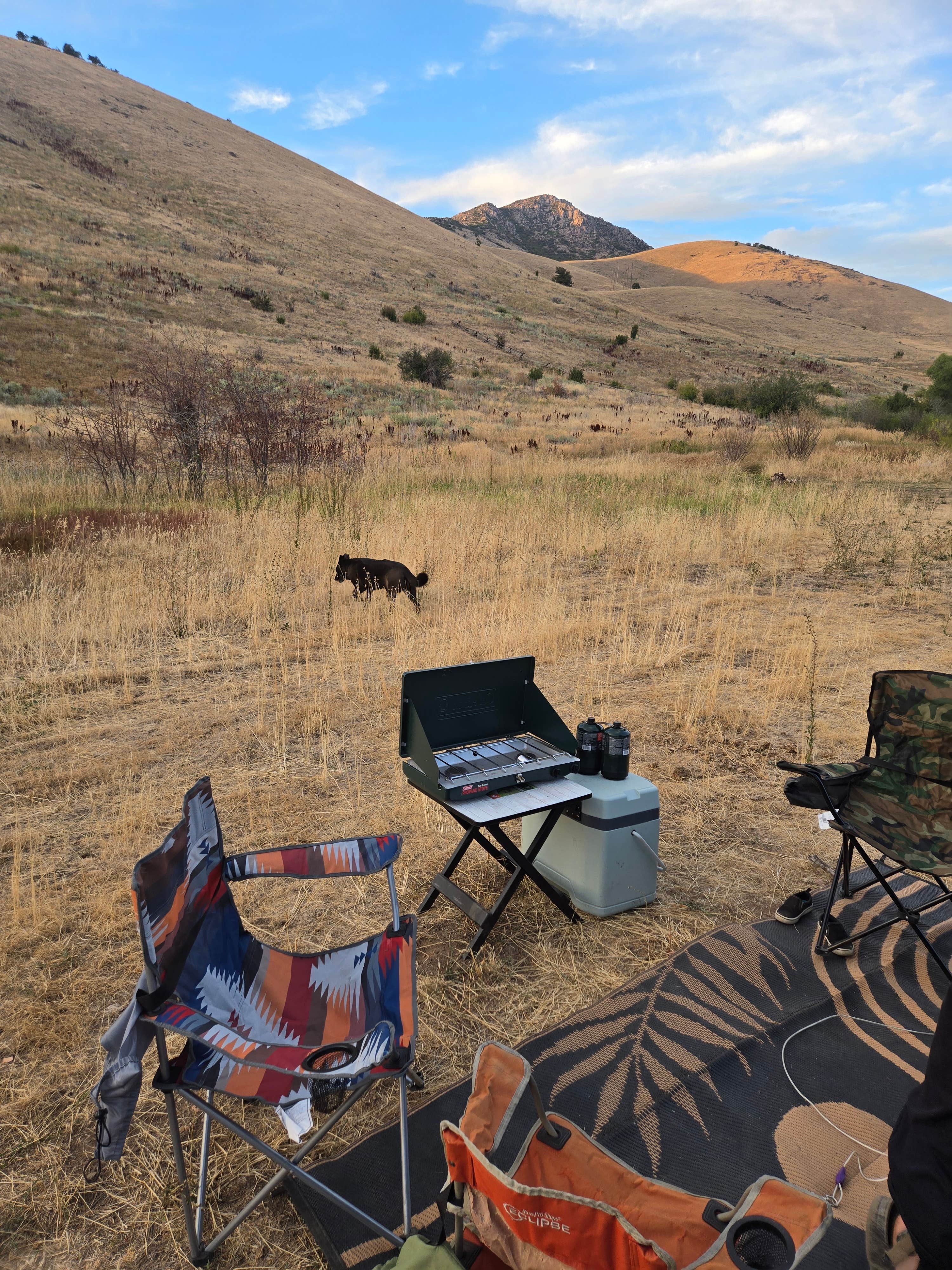 Camper submitted image from Middle Fork Conservation Area - 2