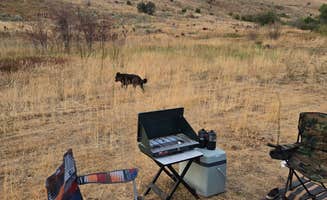 Janelle K.'s photo of a dispersed camping area at Middle Fork Conservation Area near Smithfield, UT