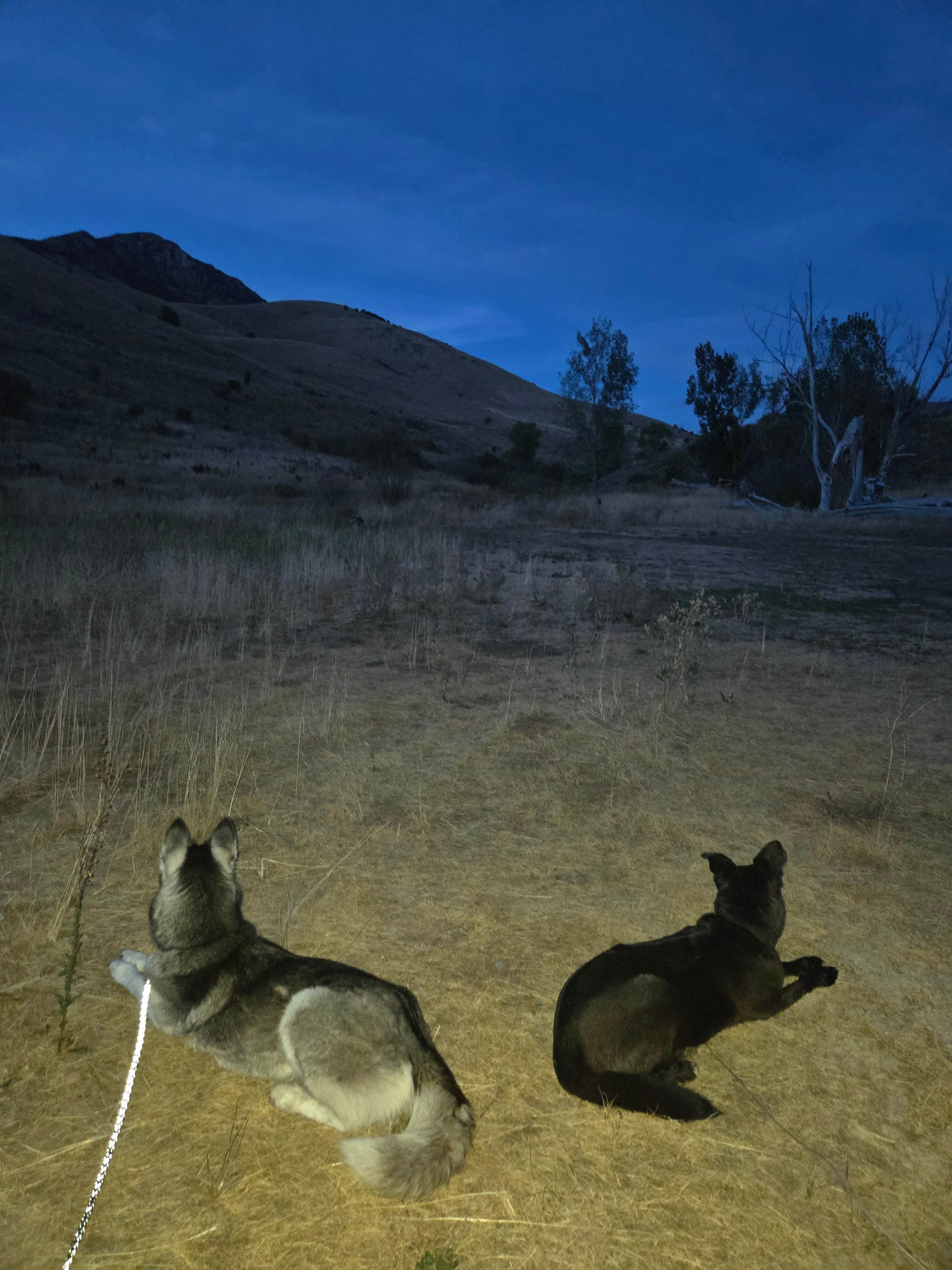 Camper-submitted photo at Middle Fork Conservation Area near Uinta-Wasatch-Cache National Forest
