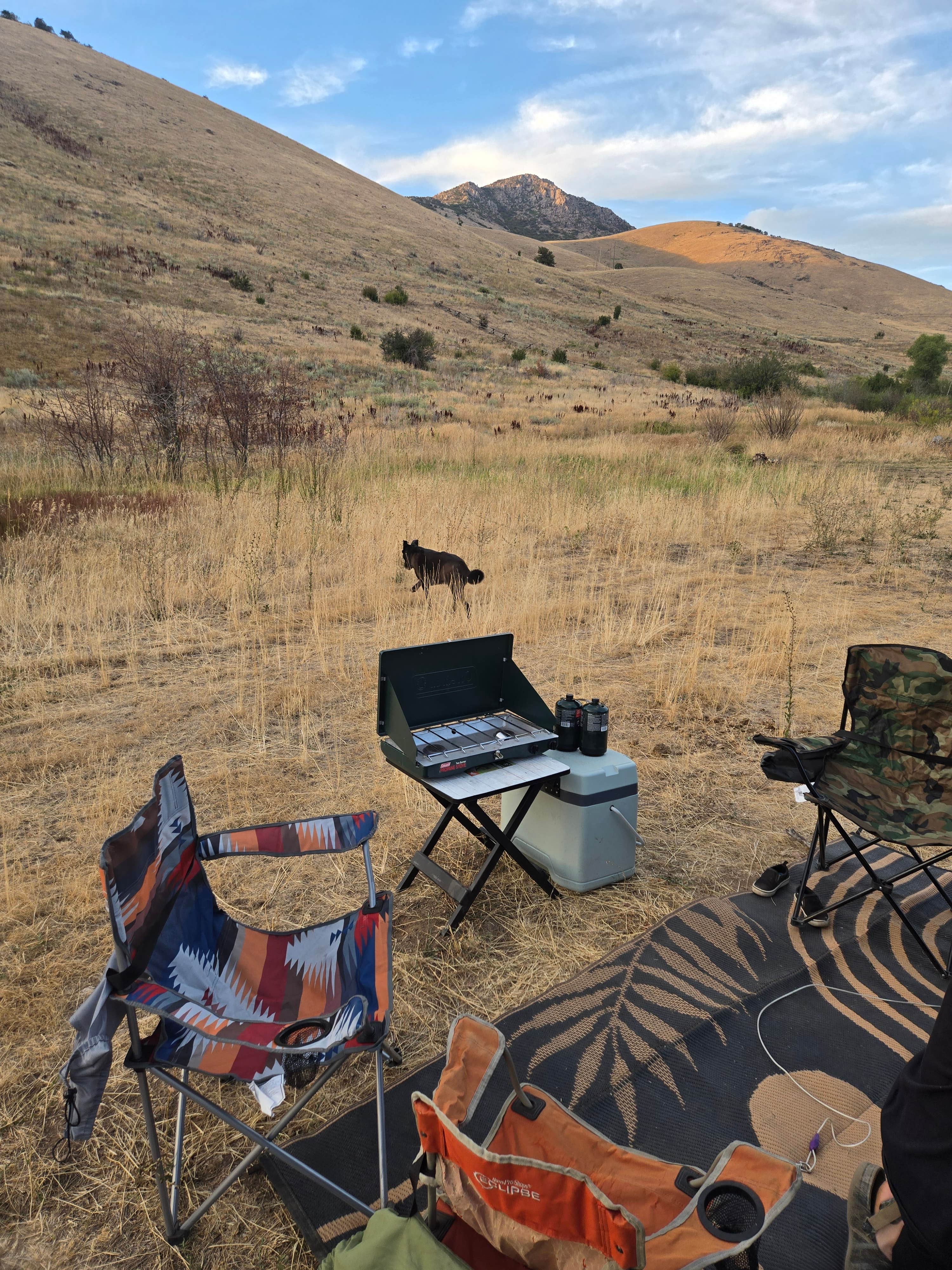 Camper-submitted photo at Middle Fork Conservation Area near Uinta-Wasatch-Cache National Forest