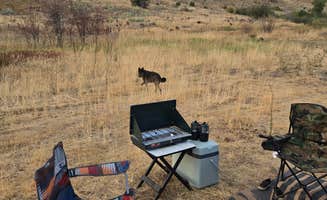 Janelle K.'s photo at Middle Fork Conservation Area near South Weber, UT