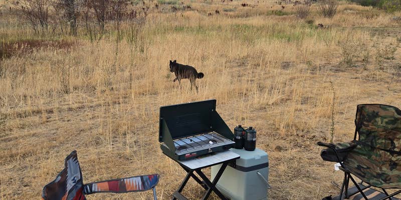 Camper submitted image from Middle Fork Conservation Area