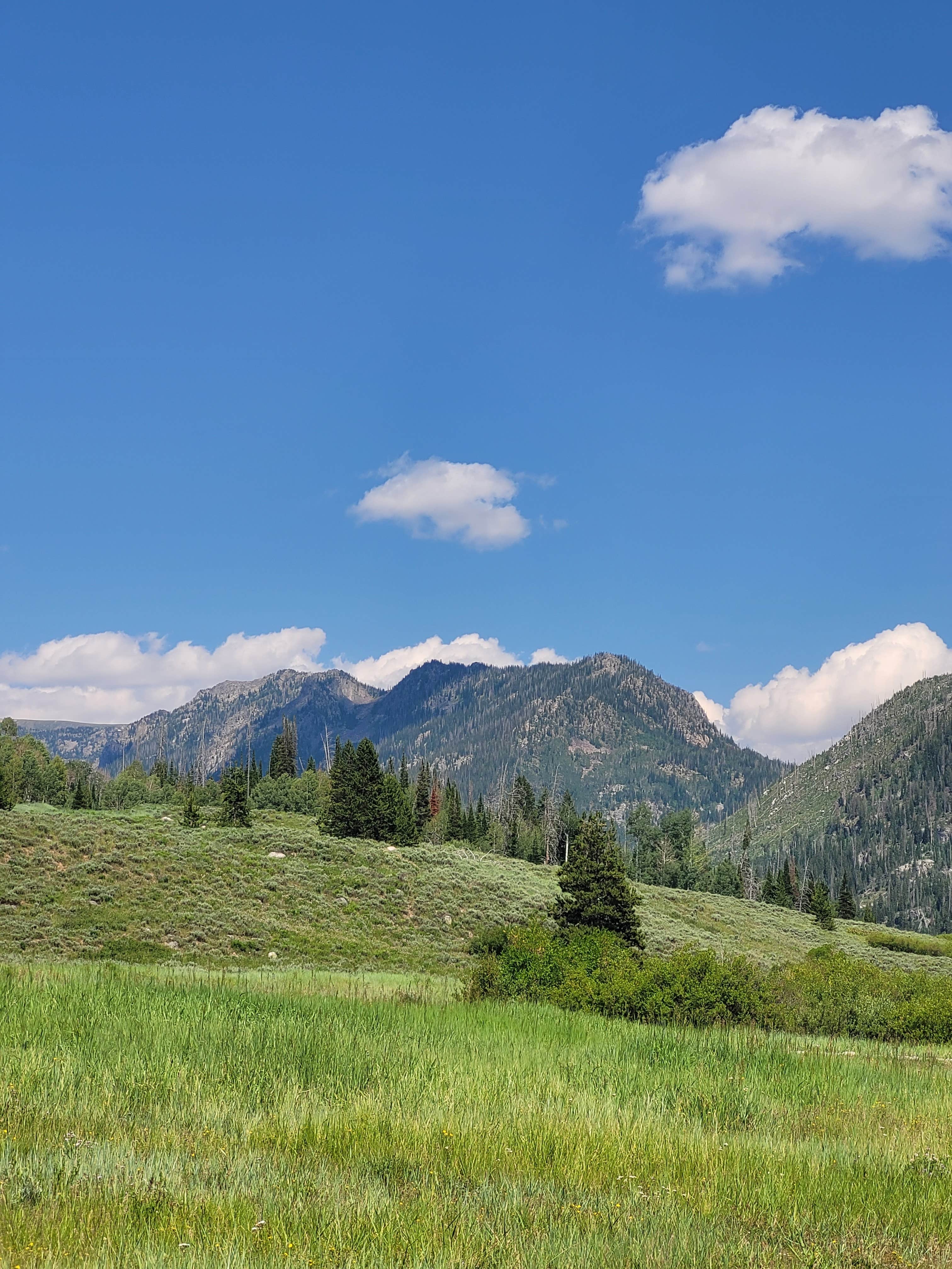 Camper submitted image from Middle Fork Elk River Camp - 1