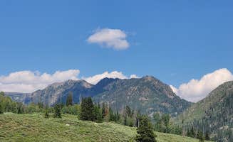 Kasy A.'s photo of a dispersed camping area at Middle Fork Elk River Camp near Encampment, WY
