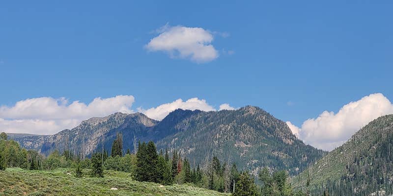 Camper submitted image from Middle Fork Elk River Camp