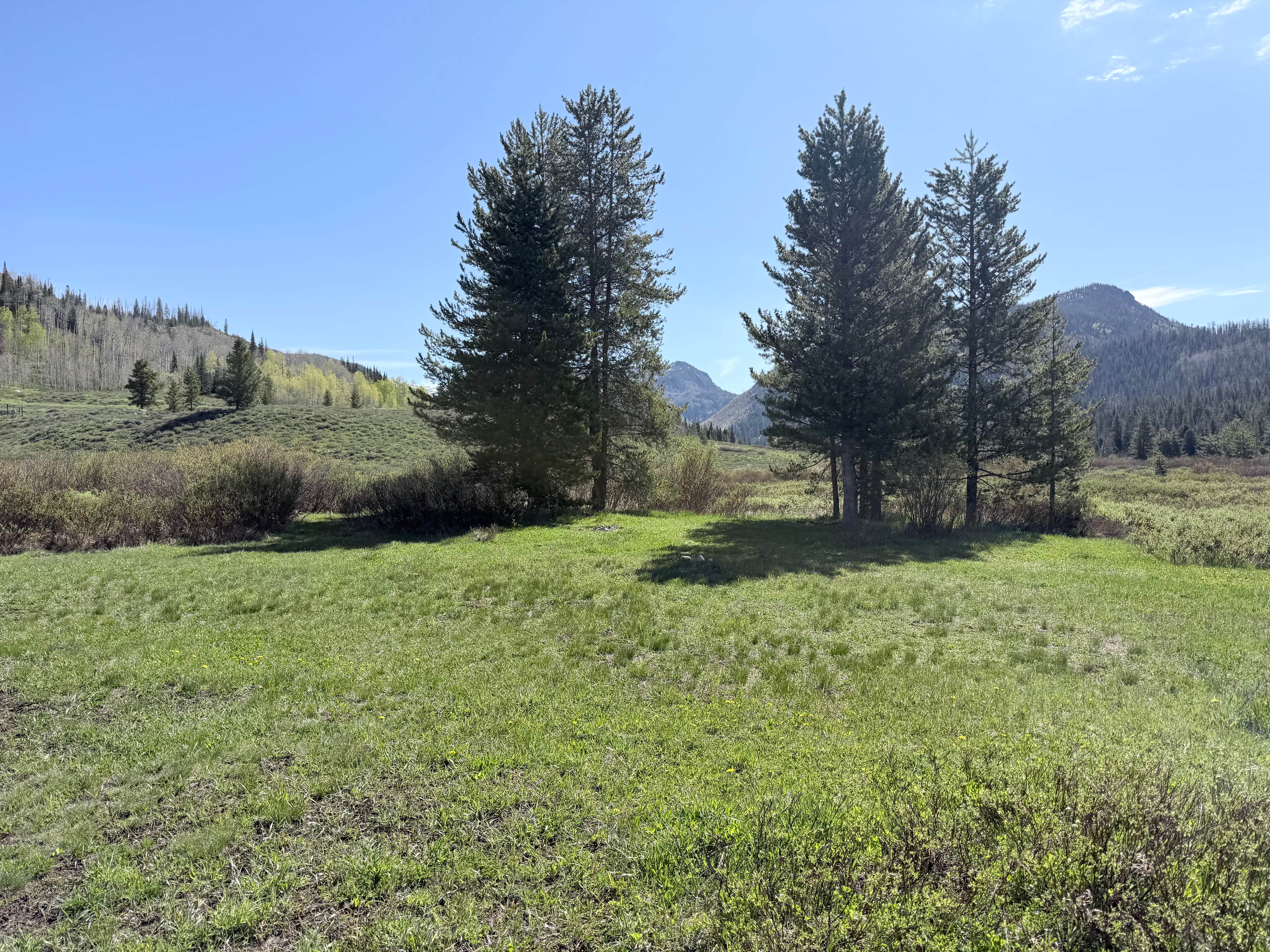 Camper-submitted photo at Middle Fork Elk River Camp near Medicine Bow-Routt National Forests and Thunder Basin National Grassland