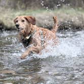 Review photo of Middle Fork Elk River Camp by Jensen S., May 24, 2026