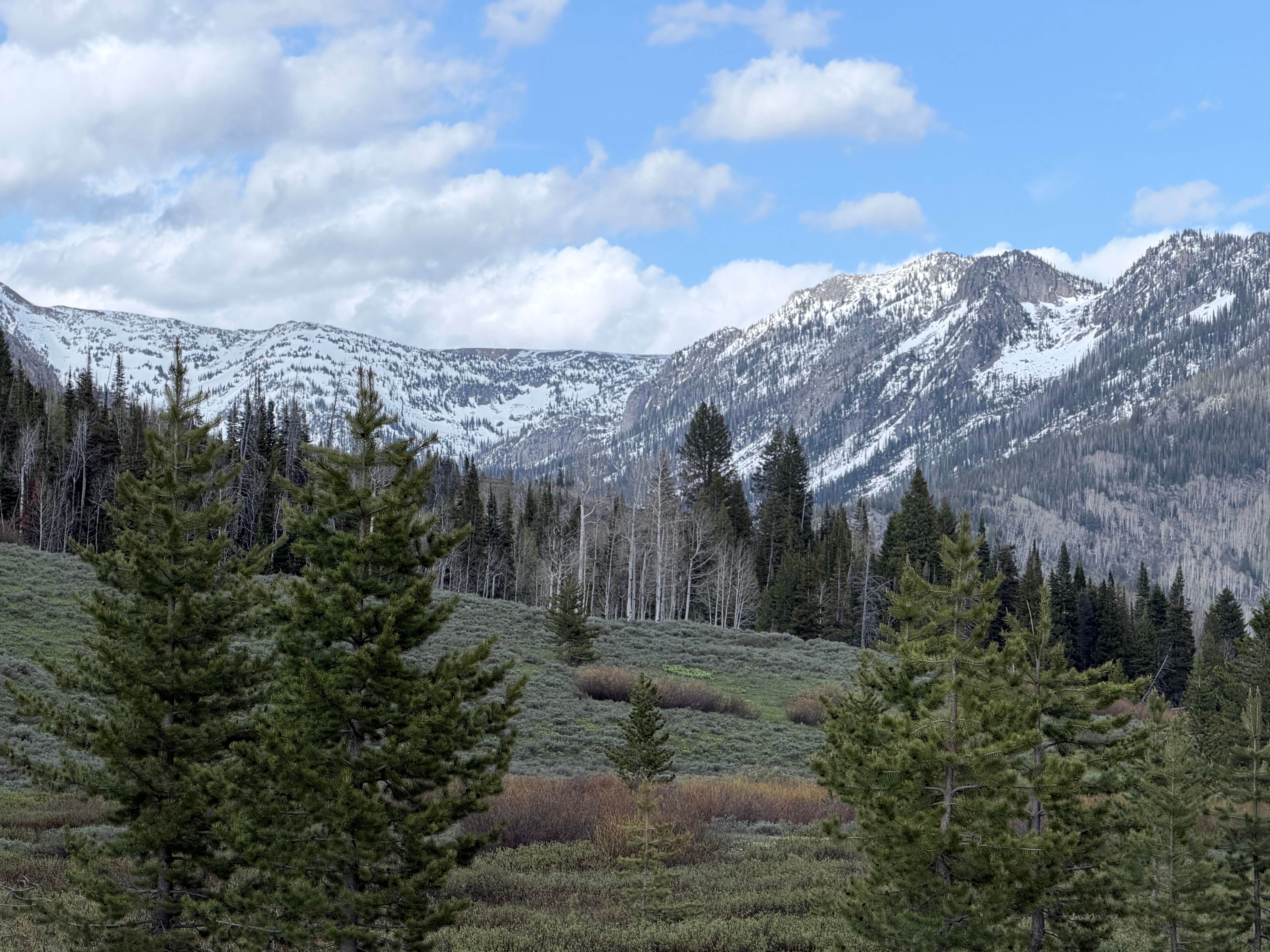 Camper-submitted photo at Middle Fork Elk River Camp near Medicine Bow-Routt National Forests and Thunder Basin National Grassland