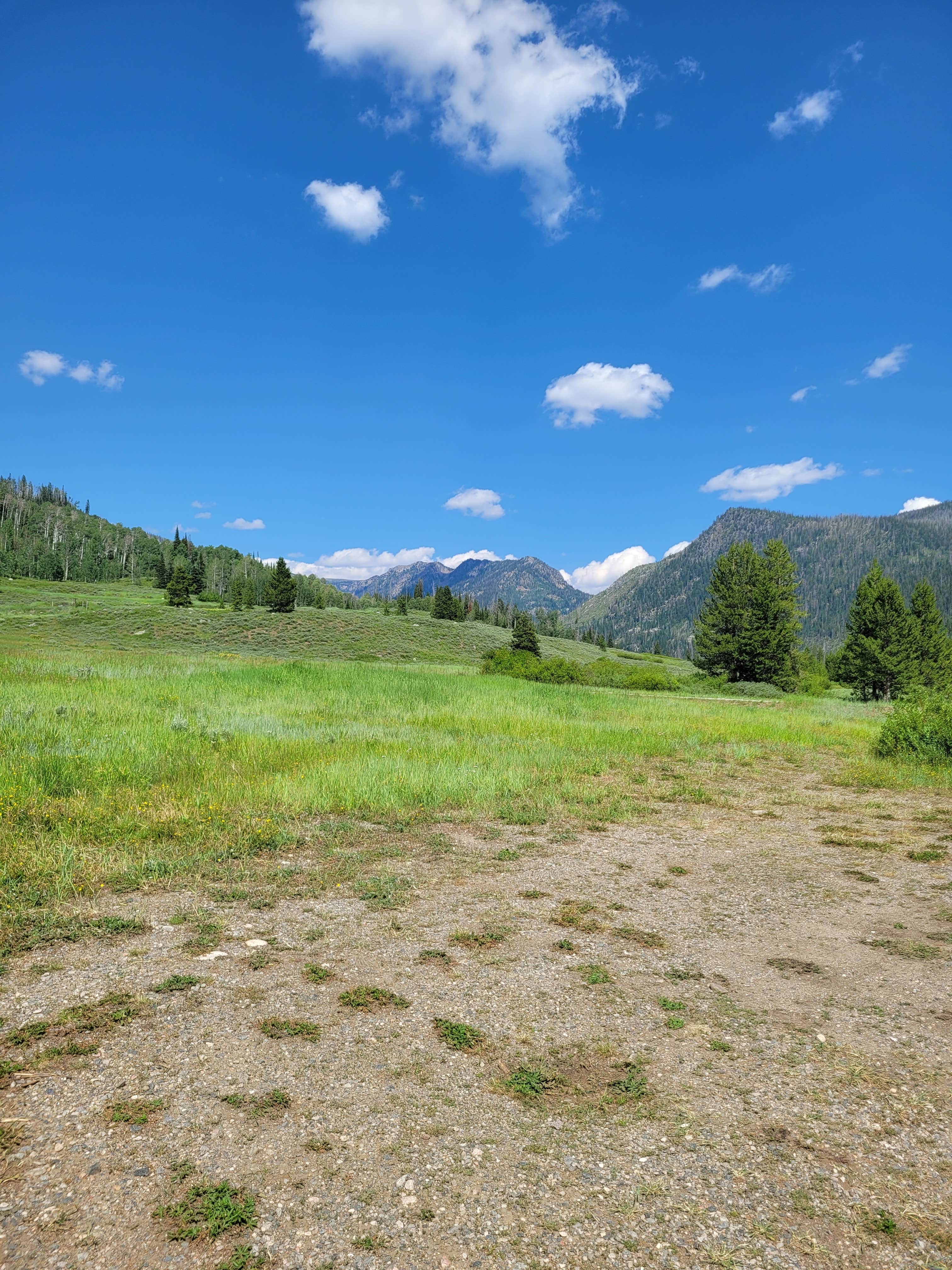 Camper submitted image from Middle Fork Elk River Camp - 2