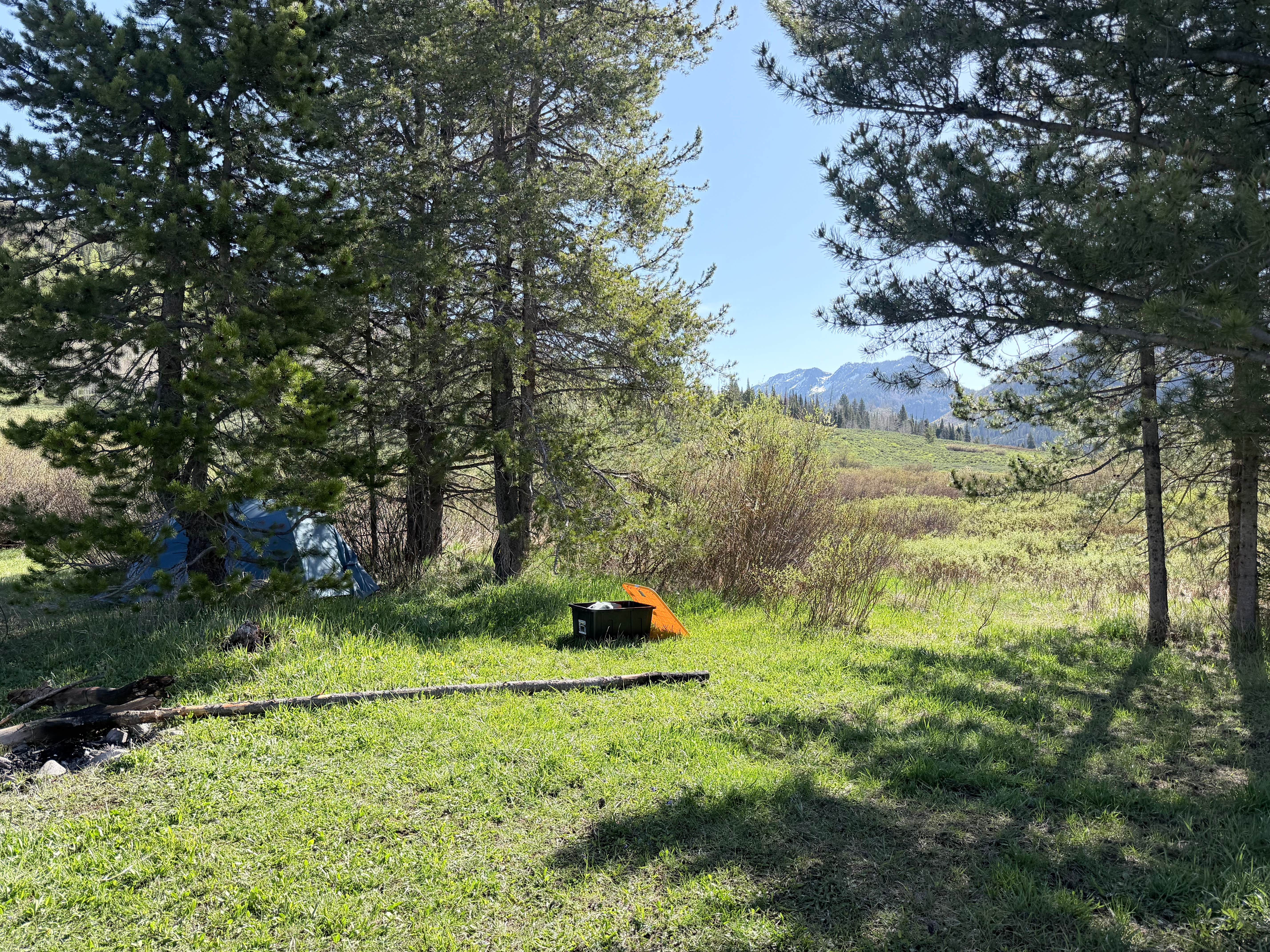 Camping near Beaver Creek Trailhead: Middle Fork Elk River Camp, Clark, Colorado