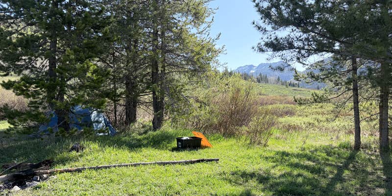 Camper submitted image from Middle Fork Elk River Camp