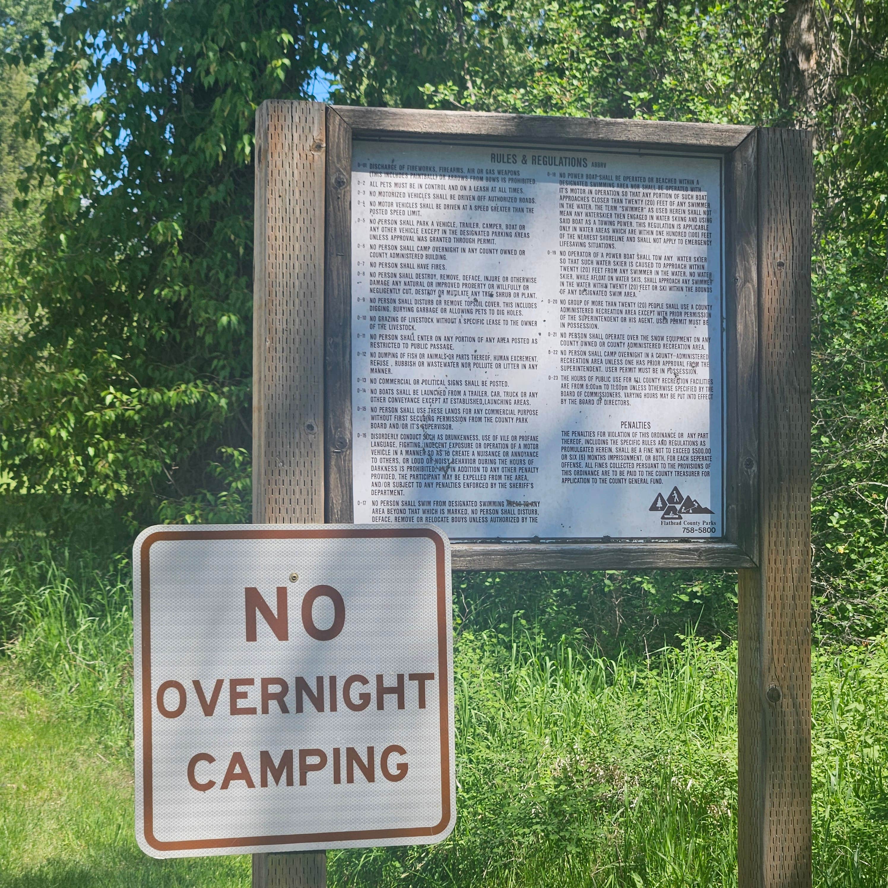 Camper submitted image from Middle Fork Flathead River Dispersed - 5