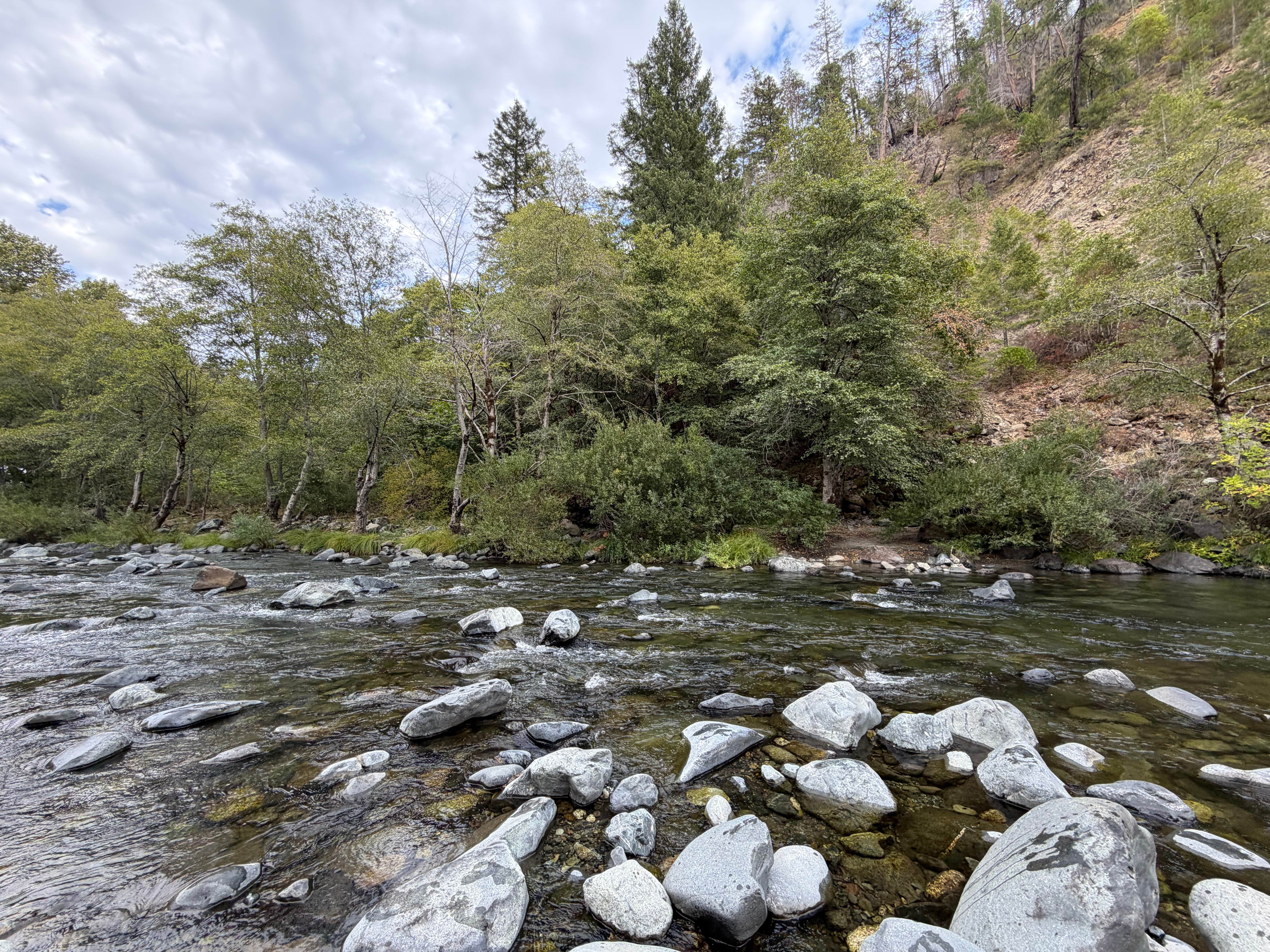 Camper-submitted photo at middle fork smith river near Cave Junction, OR