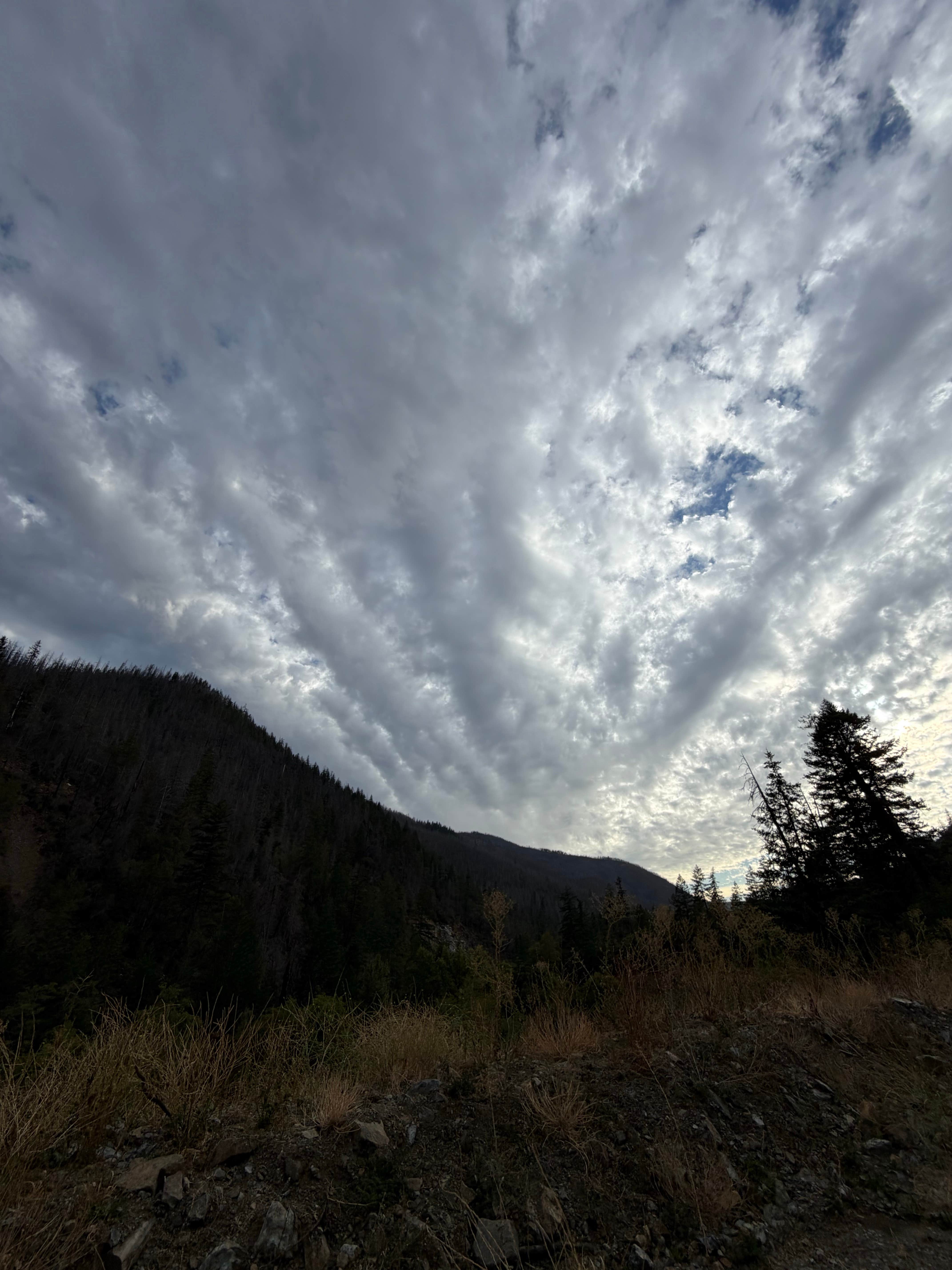 Camper-submitted photo at middle fork smith river near Cave Junction, OR