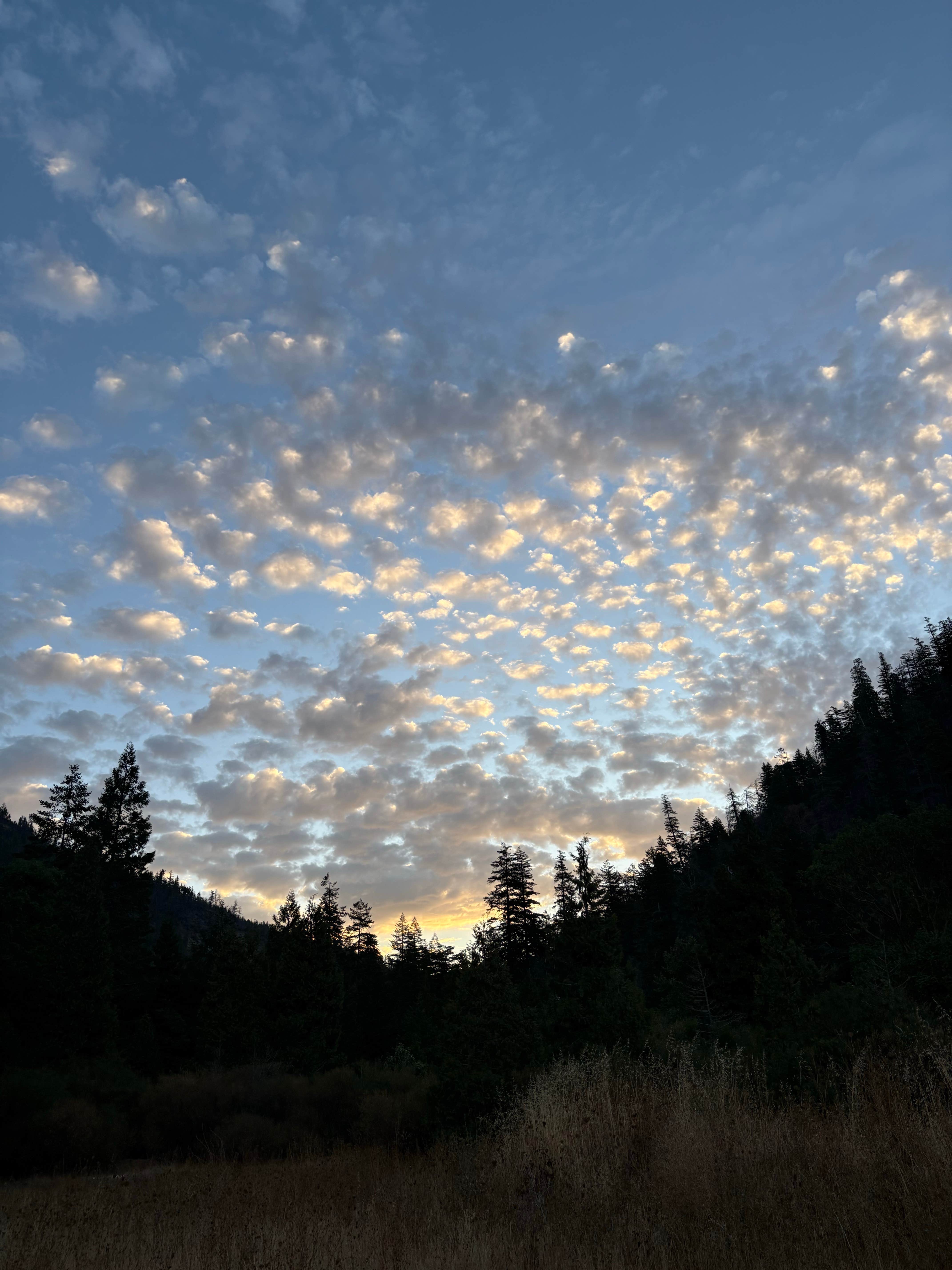 Sarah S.'s photo of a dispersed camping area at middle fork smith river near Smith River, CA