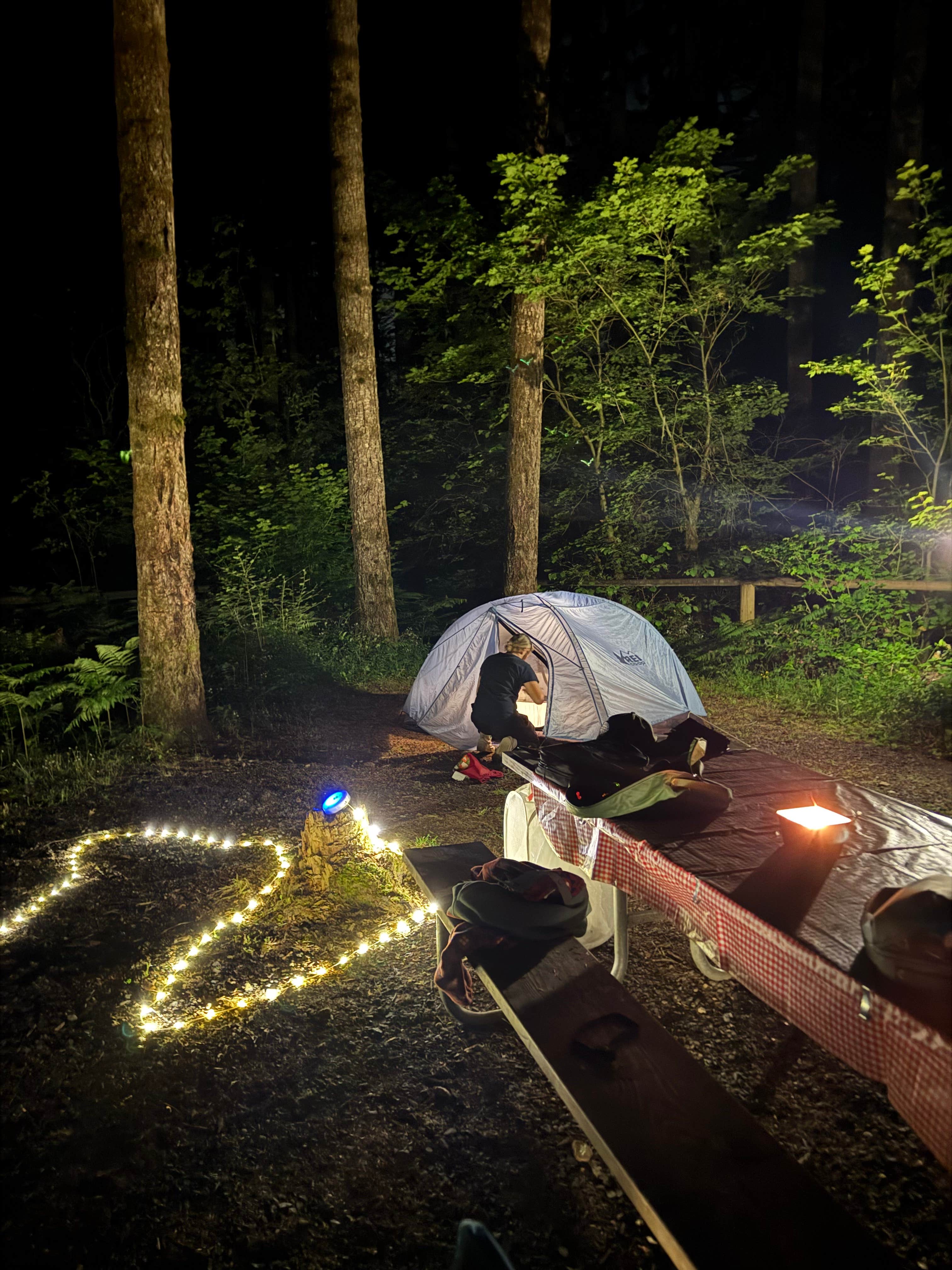 Camper submitted image from Middle Waddell Campground - 1