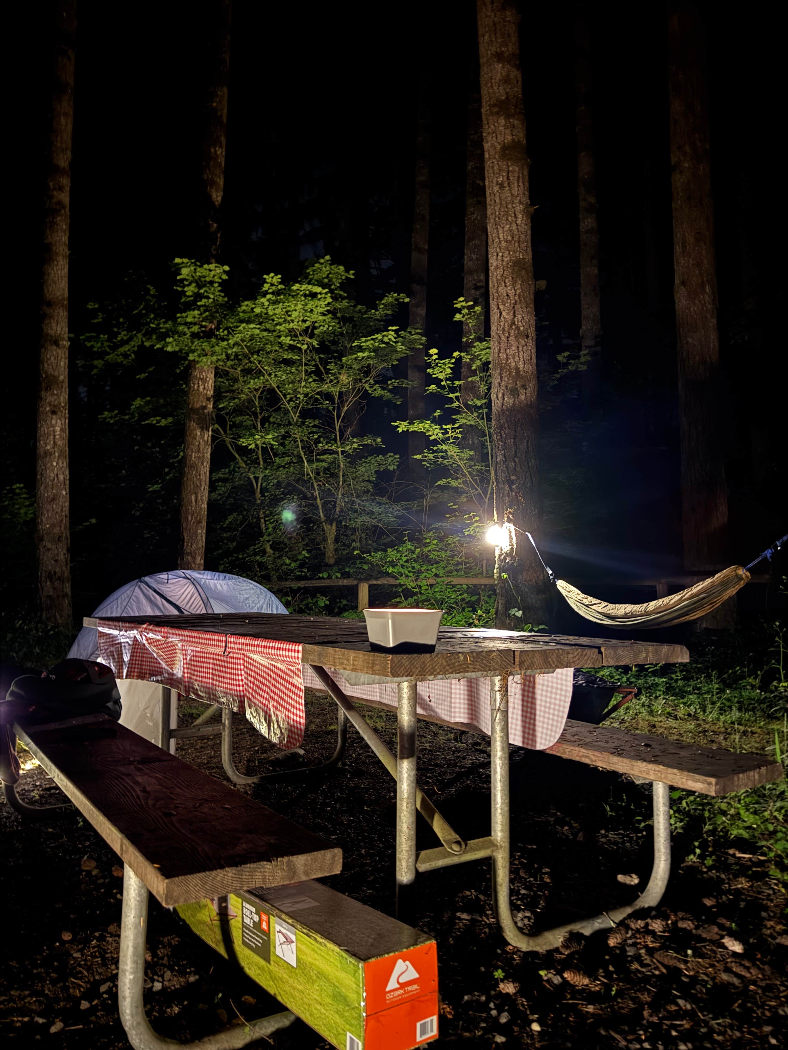 Camper-submitted photo at Middle Waddell Campground near Rochester, WA