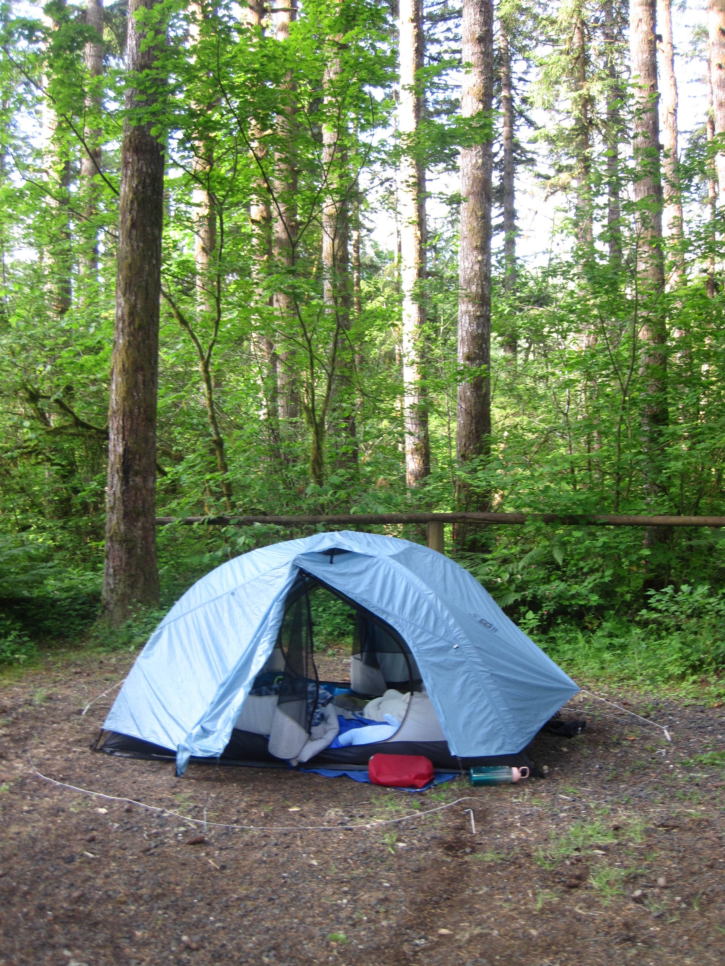 Camper-submitted photo at Middle Waddell Campground near Rochester, WA