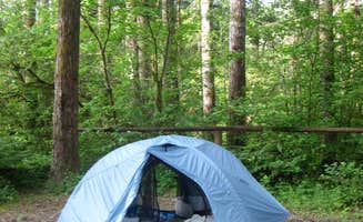 Katie G.'s photo at Middle Waddell Campground near Olympia, WA