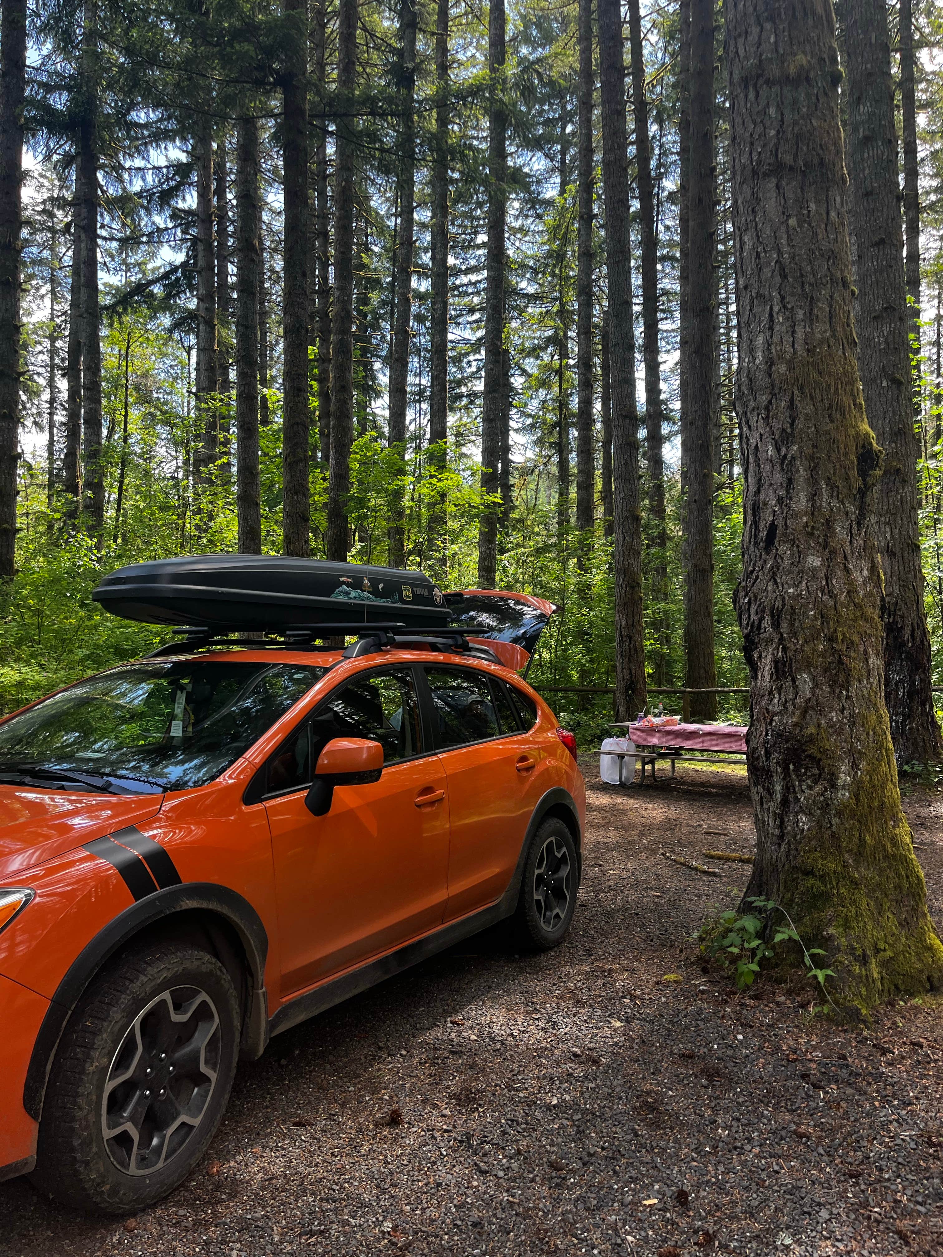 Camper-submitted photo at Middle Waddell Campground near Rochester, WA
