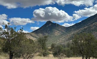 Fraun P.'s photo of a dispersed camping area at Middlemarch Pass Dispersed Camping near Cochise, AZ