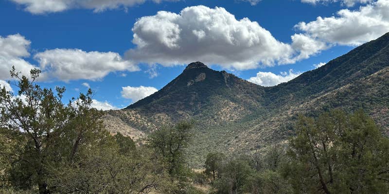 Camper submitted image from Middlemarch Pass Dispersed Camping