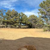 Review photo of Midland Bike Trail Dispersed by Kate S., April 8, 2026