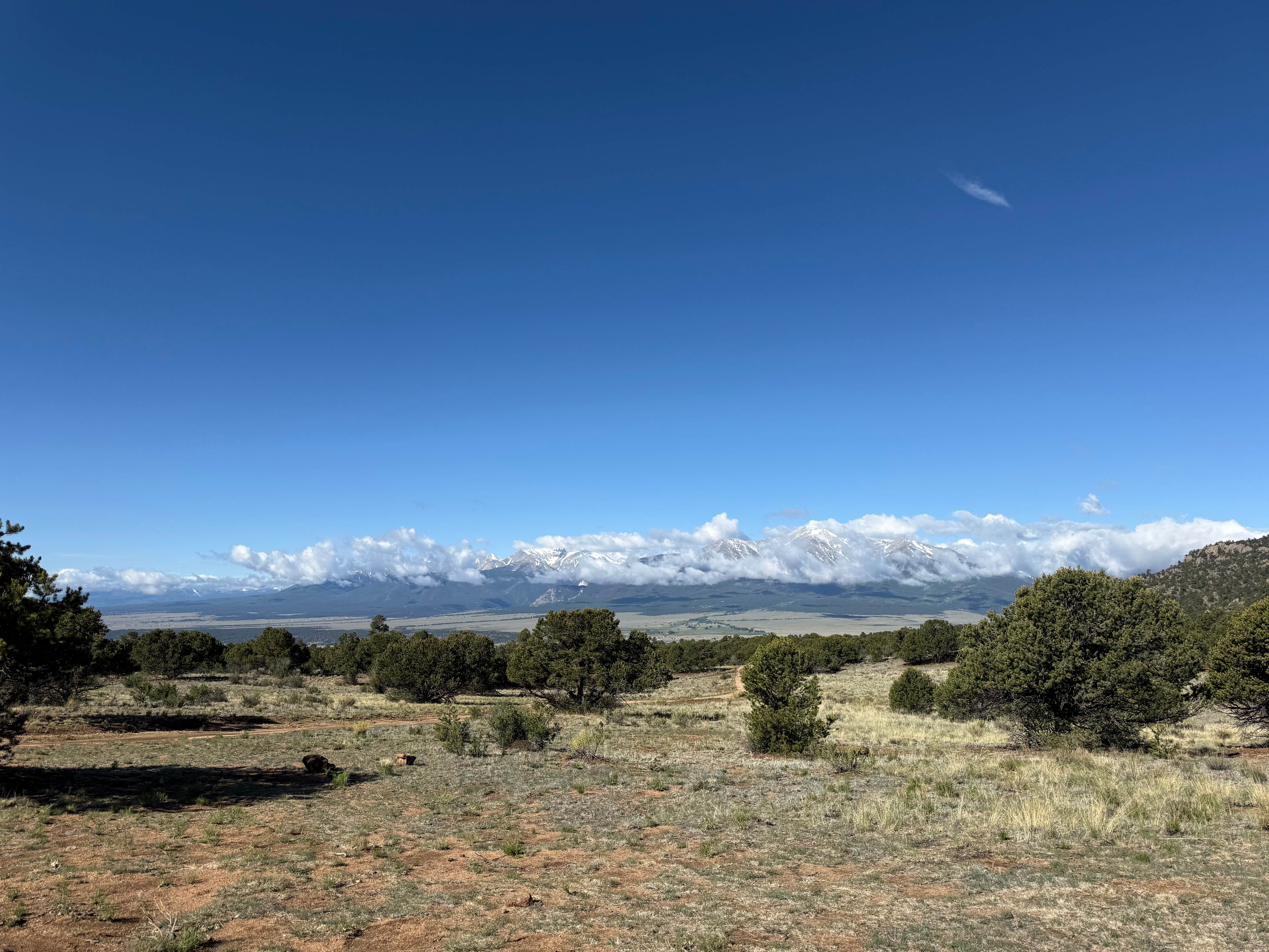 Camper submitted image from Midland Bike Trail Dispersed - 5