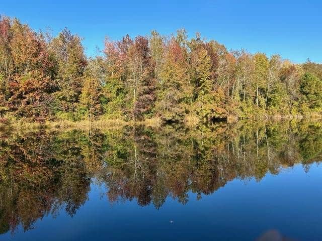 Camper-submitted photo at Midpoint RV near Coward, SC