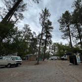 Review photo of Midtown Mountain Campground & RV Park by Richard T., May 16, 2024