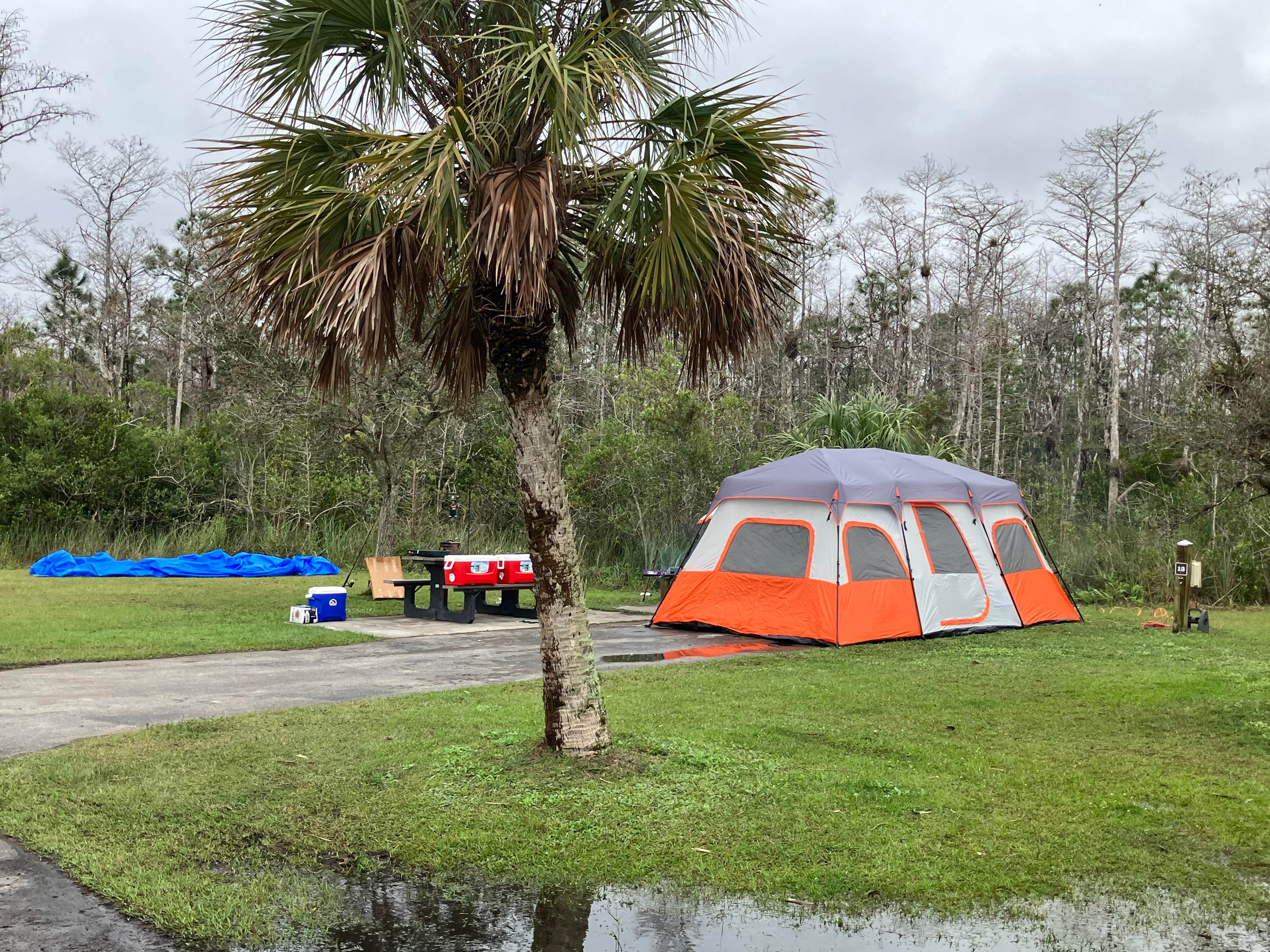 Roger W.'s photo at Midway Campground — Big Cypress National Preserve near Miami, FL
