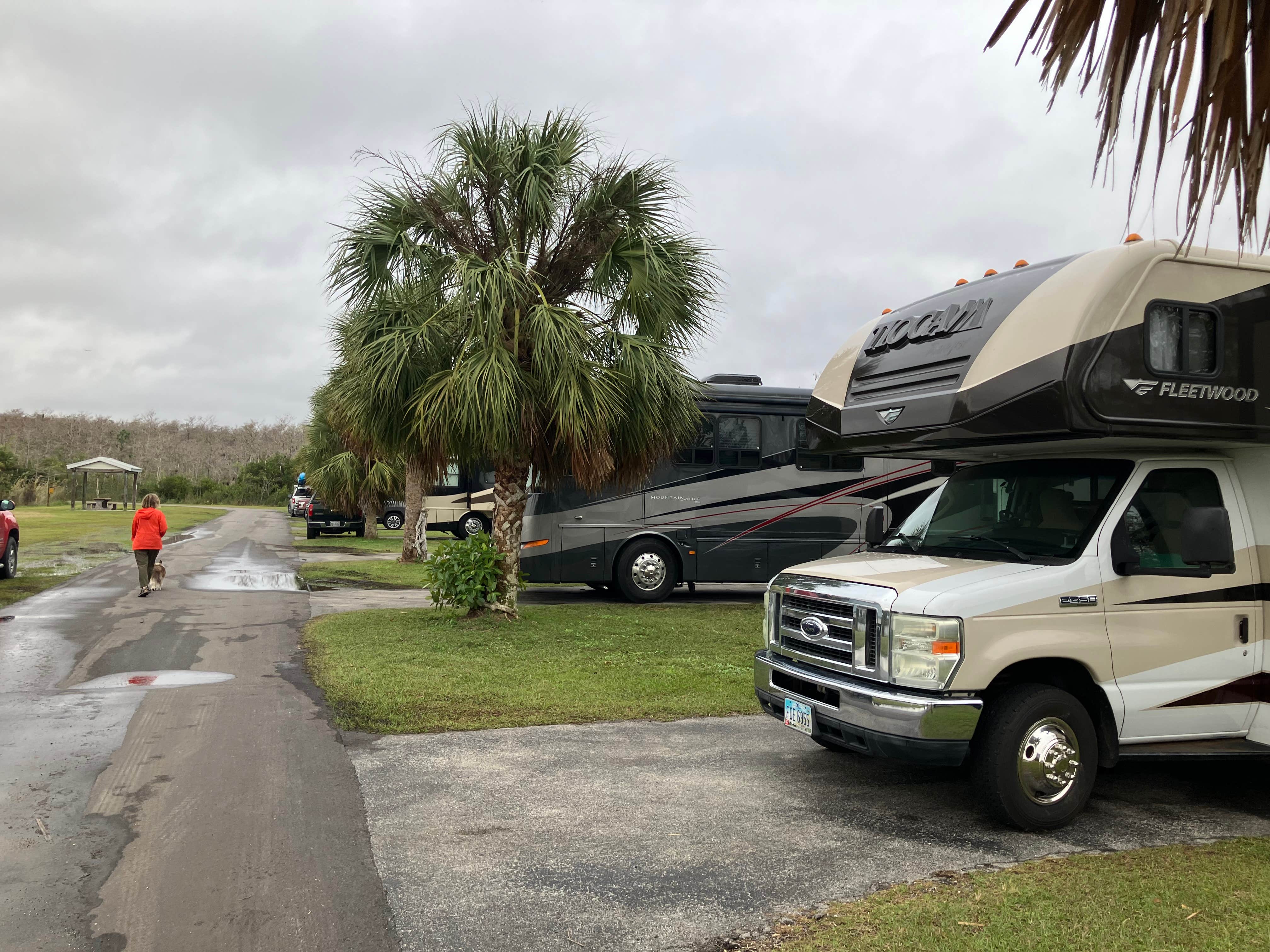 Roger W.'s photo of rv camping at Midway Campground — Big Cypress National Preserve near Everglades City, FL