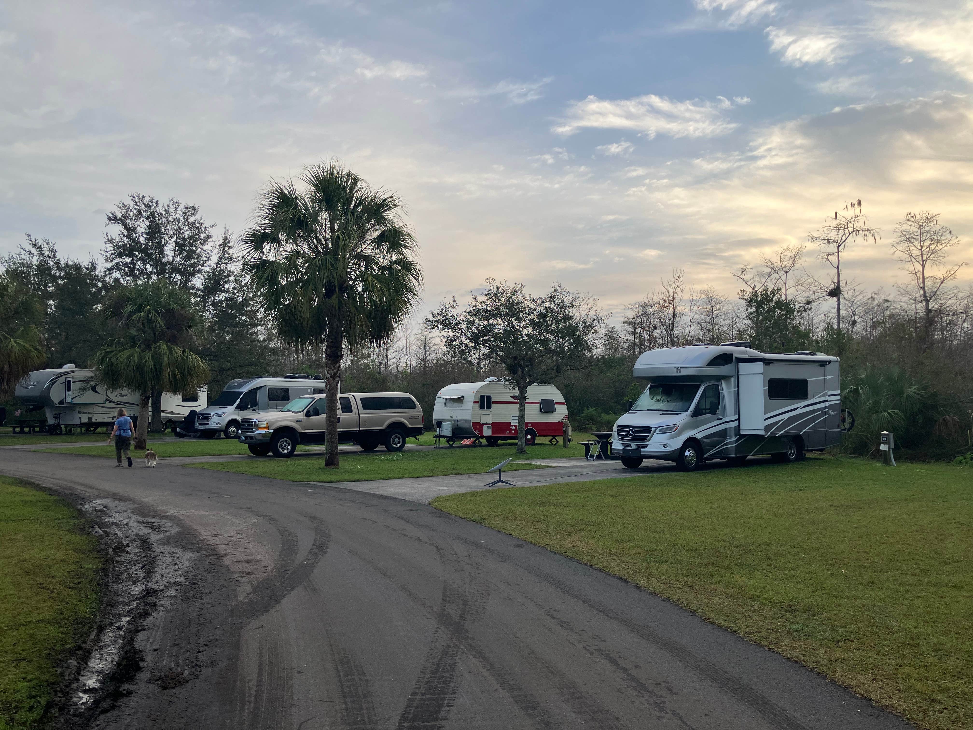 Roger W.'s photo of camping with pets at Midway Campground — Big Cypress National Preserve near Copeland, FL