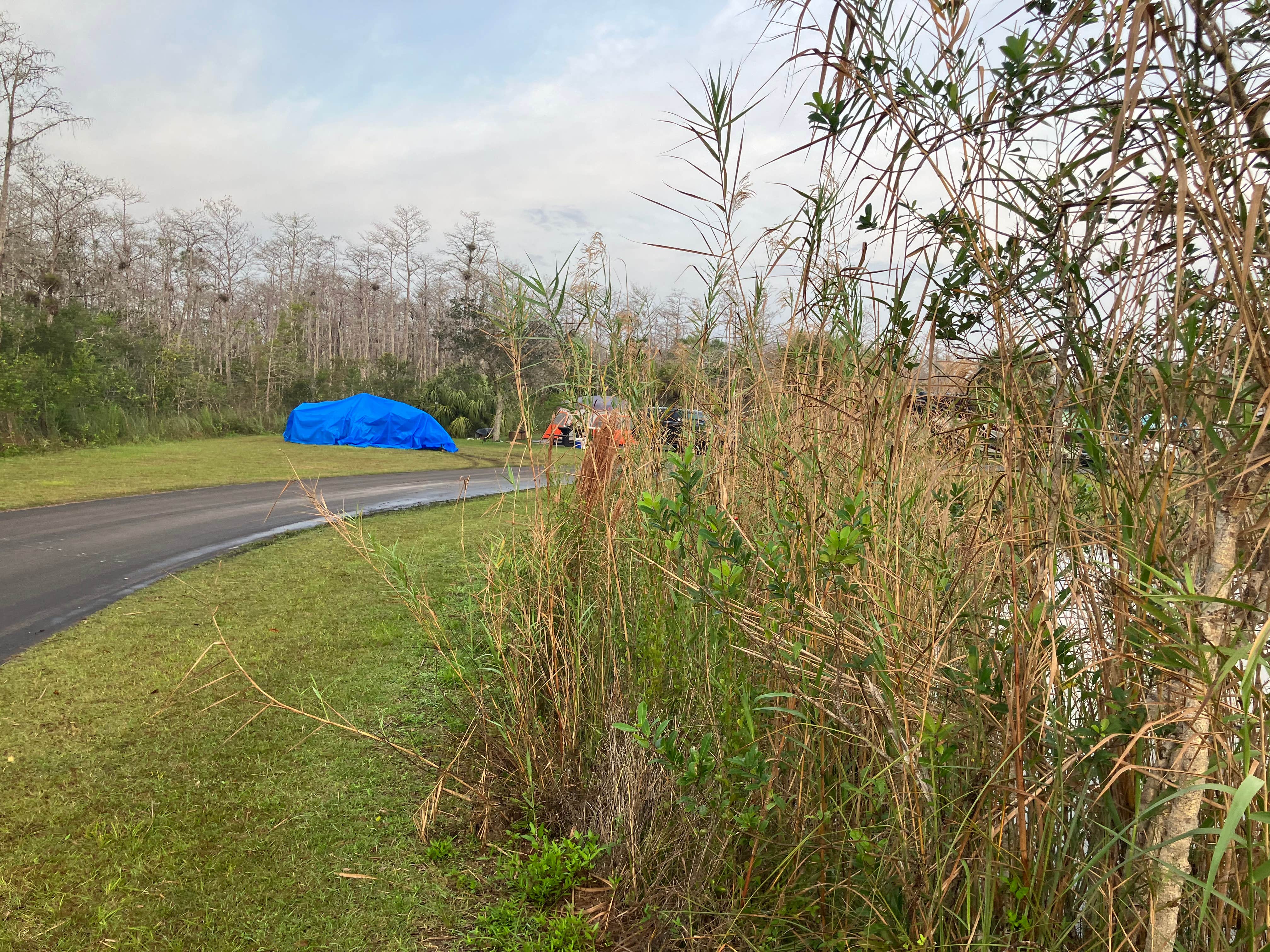 Roger W.'s photo at Midway Campground — Big Cypress National Preserve near Miami, FL