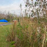 Review photo of Midway Campground — Big Cypress National Preserve by Roger W., January 20, 2024