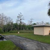 Review photo of Midway Campground — Big Cypress National Preserve by Roger W., January 20, 2024