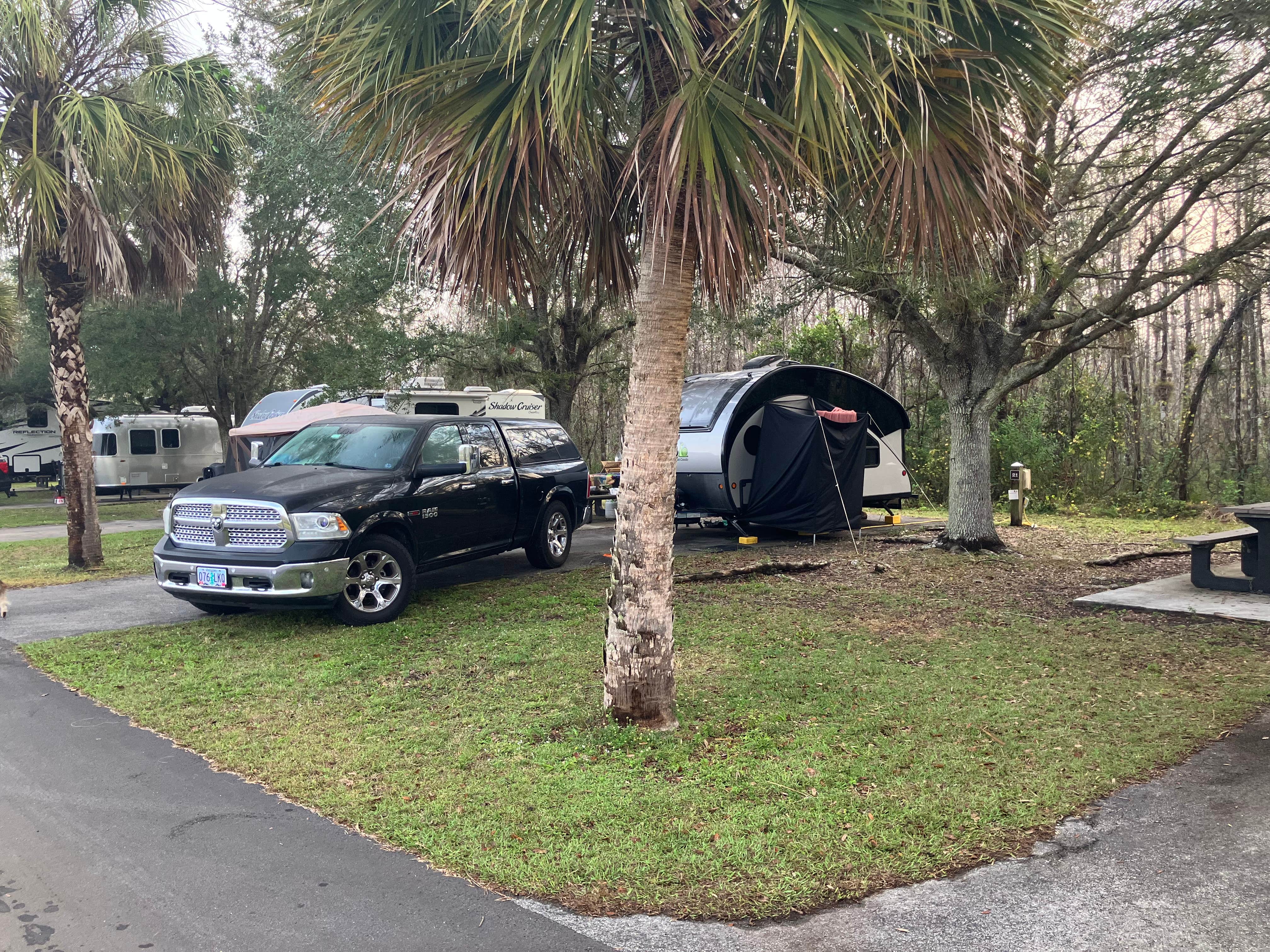 Roger W.'s photo of camping with pets at Midway Campground — Big Cypress National Preserve near Palmetto Bay, FL