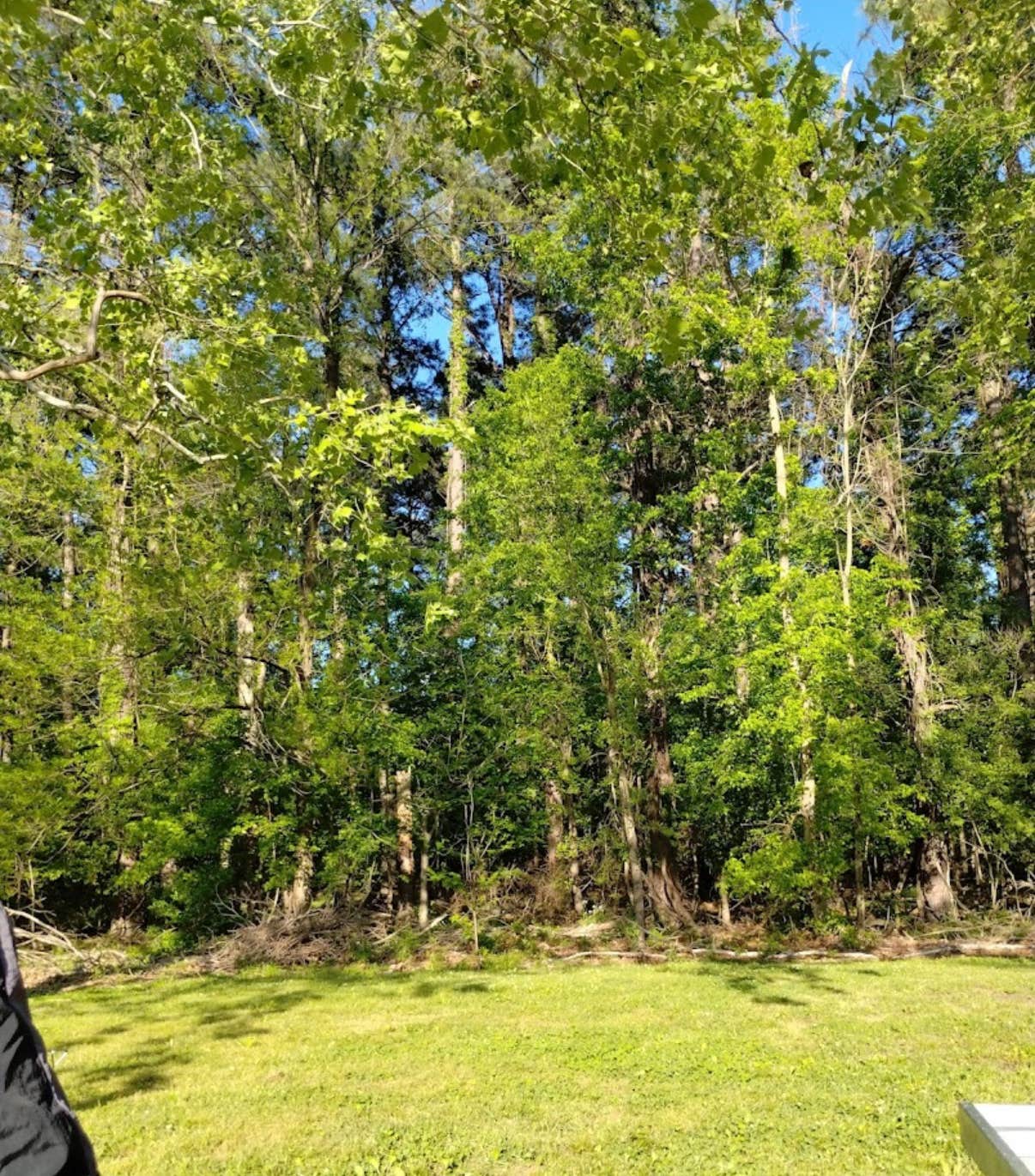 Camper-submitted photo at Midway RV Park (Military) near Bartlett, TN