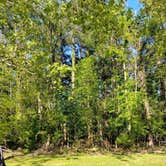 Review photo of Midway RV Park (Military) by Ryan M., July 30, 2025