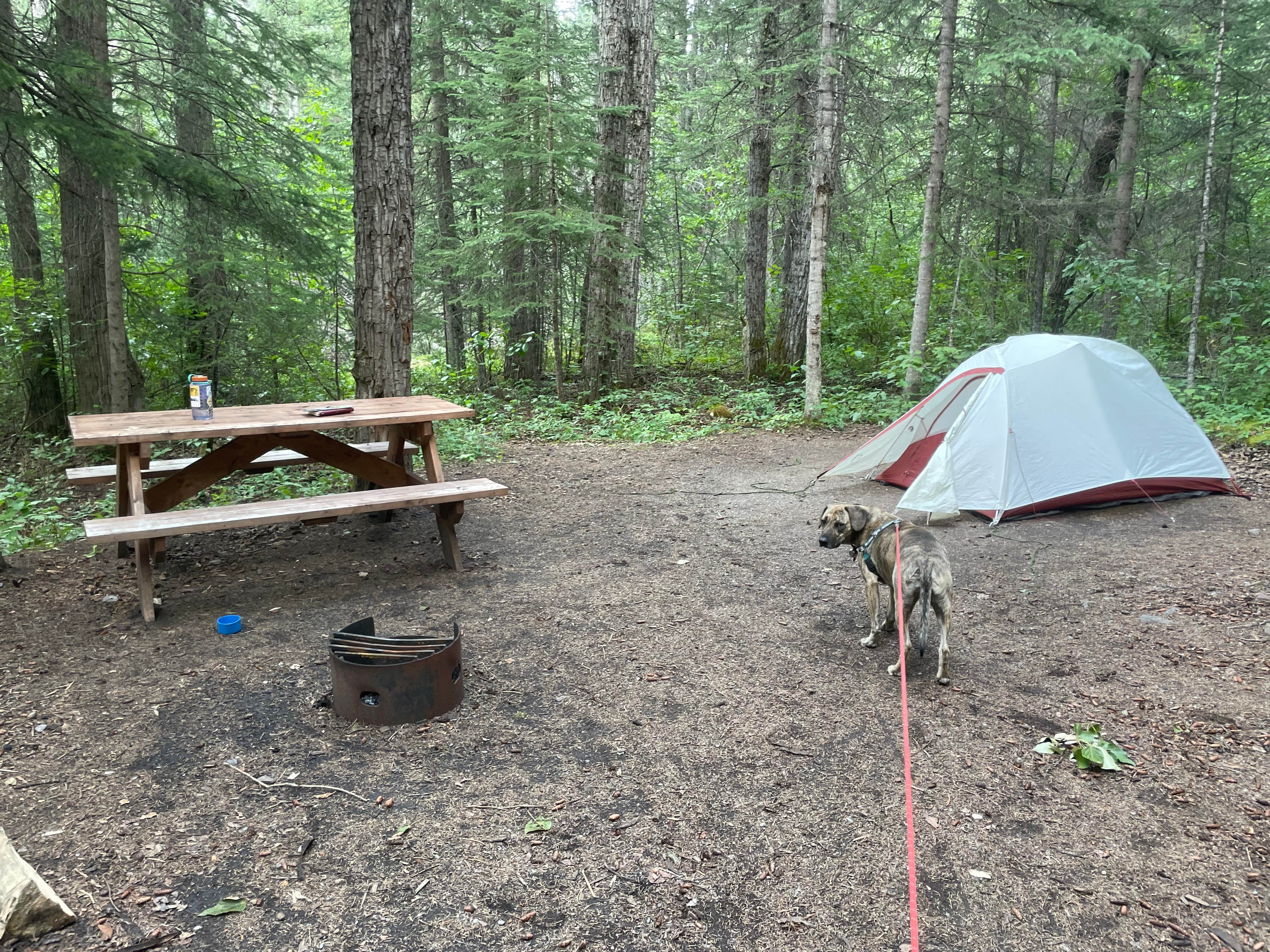 Miette Campground