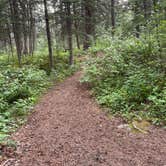 Review photo of Miette Campground by Kyle K., July 31, 2026