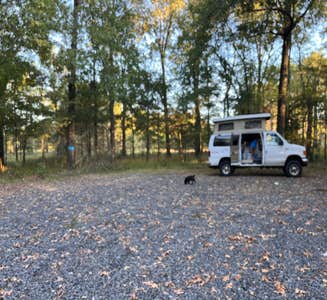 Camper-submitted photo from Mike Freeze Wattensaw  WMA