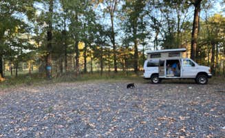 Jennifer H.'s photo of camping with pets at Mike Freeze Wattensaw  WMA near Cabot, AR