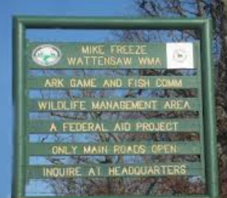 Camper-submitted photo at Mike Freeze Wattensaw  WMA near Wynne, AR