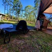 Review photo of Mike Roess Gold Head Branch State Park Campground & Cabins by Ali P., June 17, 2024