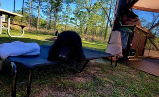 Ali P.'s photo at Mike Roess Gold Head Branch State Park Campground & Cabins near Middleburg, FL